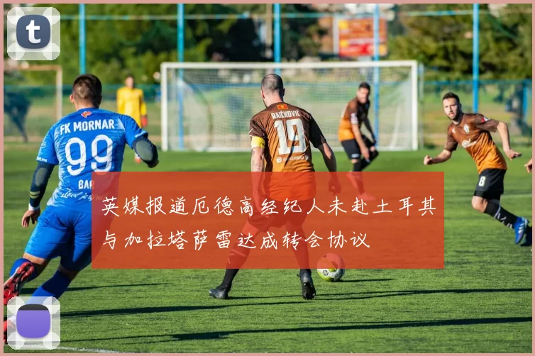 英媒报道厄德高经纪人未赴土耳其与加拉塔萨雷达成转会协议